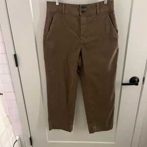 Everlane cotton straight leg pant in olive